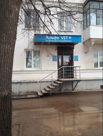 Ветеринарная клиника "Альфа Vet+" в г. Октябрьский Башкортостан